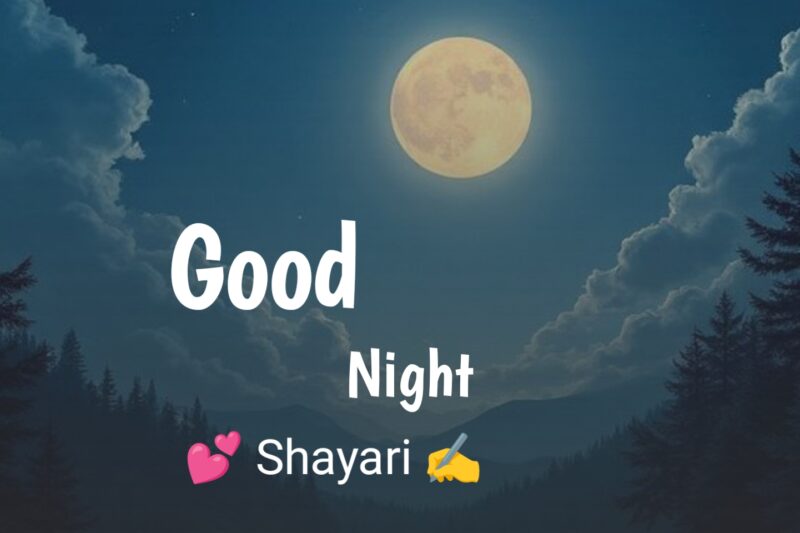 Good Night Shayari in Hindi