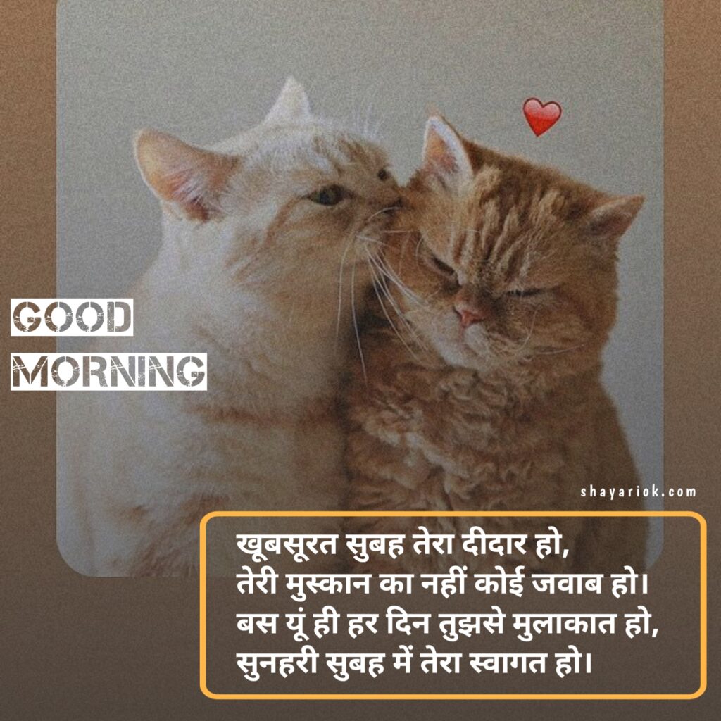 Good Morning Shayari